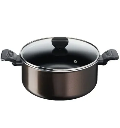 Tefal Easy Cook Stewpot 24 CM Titanium Non Stock Cooking Pot 4.7 L with Lid Suitable for All Heat Sources Except Induction B5544602