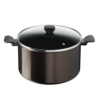 Tefal Easy Cook Stockpot 30 CM Titanium Non Stock Cooking Pot 4.7 L with Lid Suitable for All Heat Sources Except Induction B5546902
