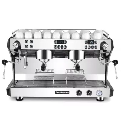 Gemilai Commercial Coffee & Espresso Machine Double Head