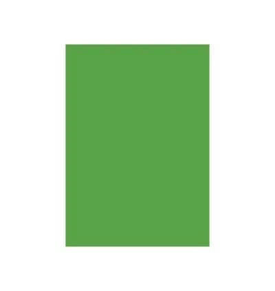 Special Colour Manilla Sheet A4 160gsm 100 Sheets Green P06942
