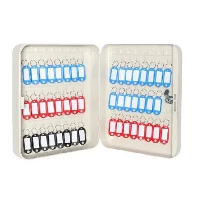 Generic Key Box Holder with Key Lock 48/50 Keys Aluminium (Keychain Included)