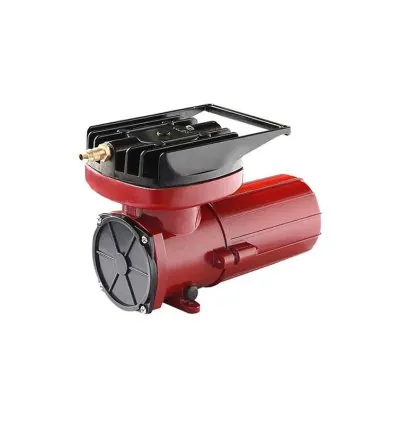 Hailea Air Compressor 55WACO-006D