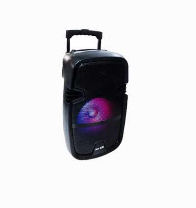 MR UK Speaker J-17 Tanzania