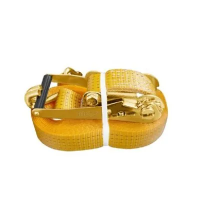 Ingco Cargo Belt 2T 10m HRSP2101