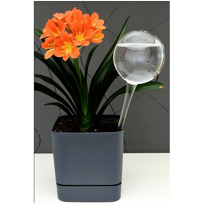 Urve Humidifier Flowered Pot Flower Watering Apparatus Plant Waterer Automatic Flower Drip Ur3115 4 Urve Humidifier Flowered Pot Flower Watering Apparatus Plant Waterer Automatic Flower Drip Ur3115