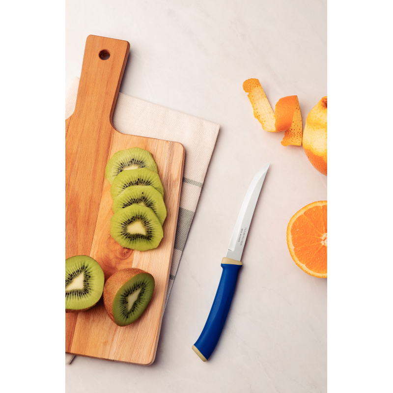 Tramontina Felice Barbecue Knife 5'' Stainless Steel Blades, Smooth Edge And Blue Polypropylene Handles 2Pc Set 23493/215 3 Tramontina Felice Barbecue Knife 5'' Stainless Steel Blades, Smooth Edge And Blue Polypropylene Handles 2Pc Set 23493/215