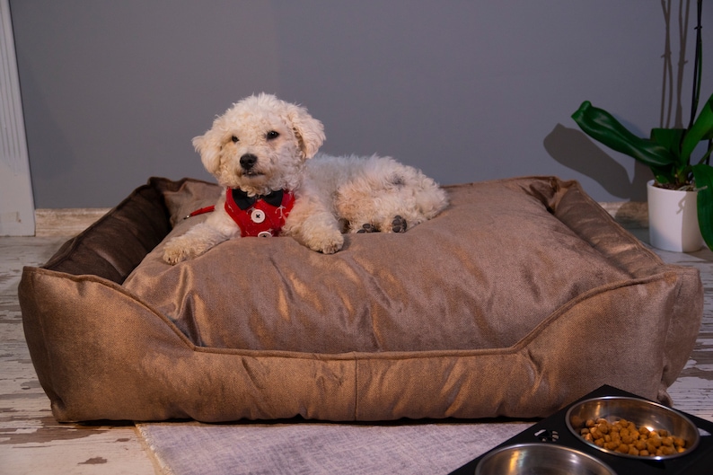 Pv Dog Bed 73 X 62 X 20Cm Large Yd-S01L 6 Pv Dog Bed 73 X 62 X 20Cm Large Yd-S01L