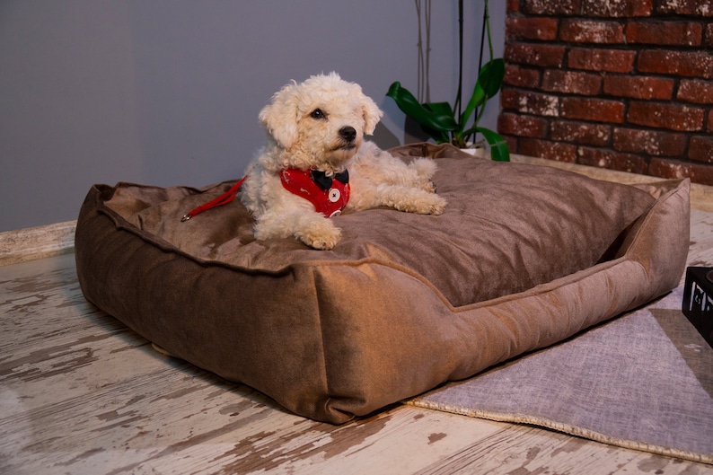 Pv Dog Bed 73 X 62 X 20Cm Large Yd-S01L 7 Pv Dog Bed 73 X 62 X 20Cm Large Yd-S01L