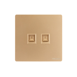 Tronic 2 Gang Data Socket