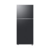 Samsung Refrigerator 393L Double Door Top Freezer with Optimal Fresh+ RT38CG6421B1UT