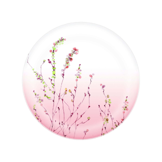 Luminarc Simply Trompette Rose Dinner Plate V4171 (Pack of 6Pcs)