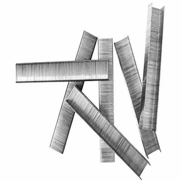 Ingco Staple Pins 12Mm 1000Pcs Sts0112 1 Ingco Staple Pins 12Mm 1000Pcs Sts0112