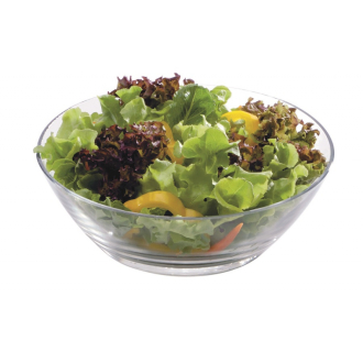 Ocean Bowl 1pc For Salad 10 inches 1P01825L